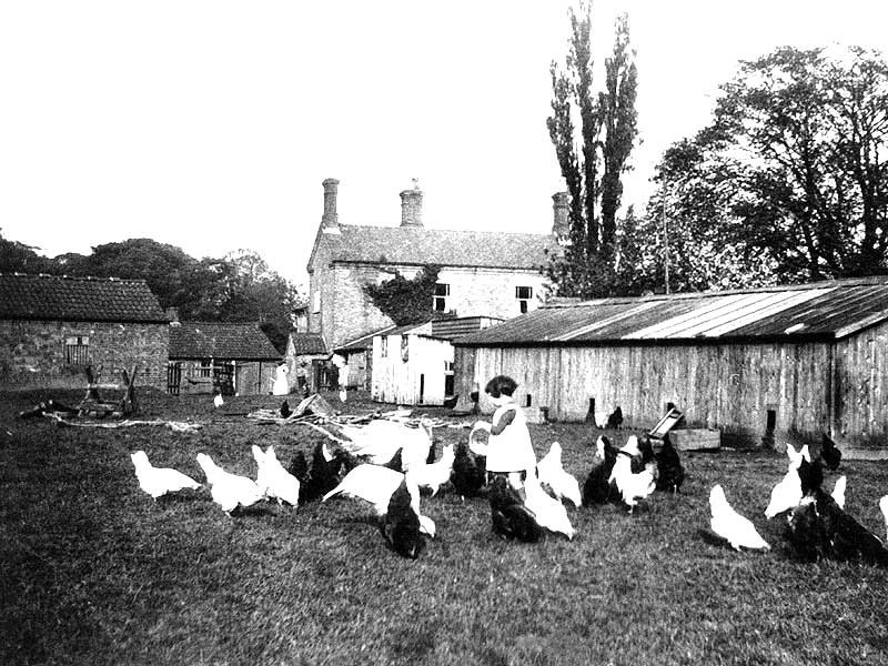 Old Clifton Village