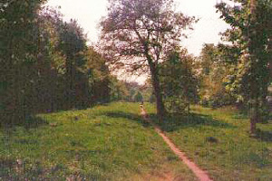 Clifton Grove