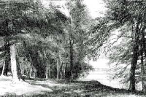 Clifton Grove