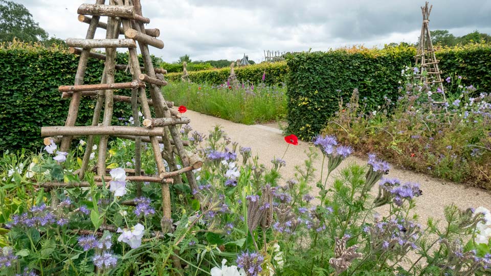 One of the many colourful pathways