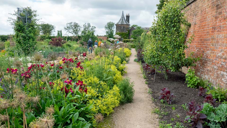 A further view of the Weston Walled Garden